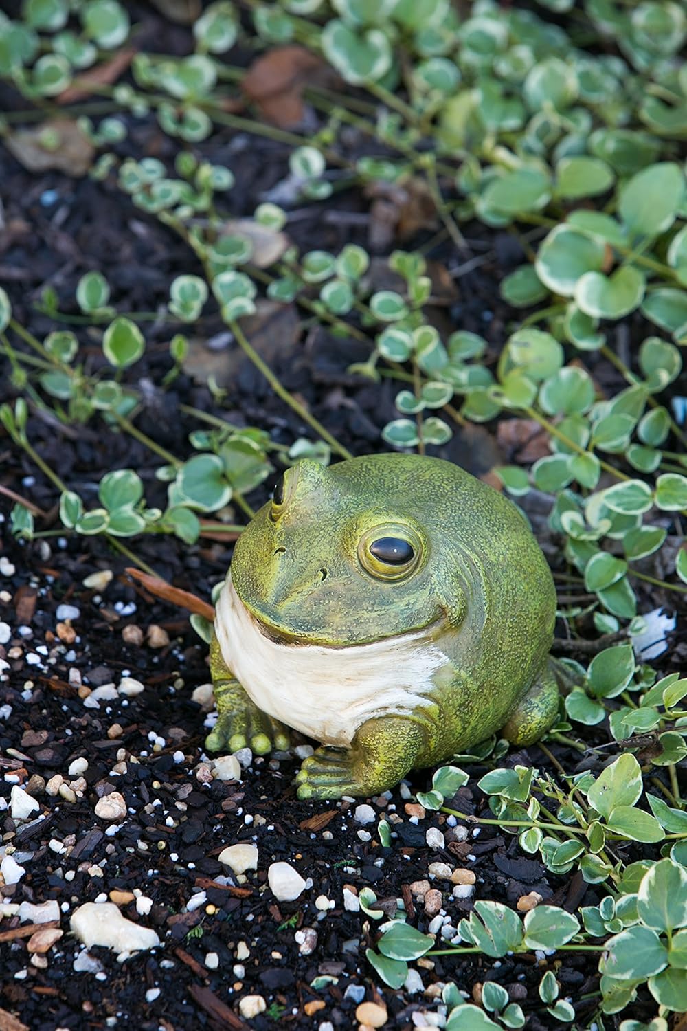 outdoor key holder on Outdoor Statues 6 W X 5 D X 6 H Evergreen Enterprises Inc Evergreen Garden Medium Portly Frog Painted Polystone Outdoor Statue And Key Holder Patio