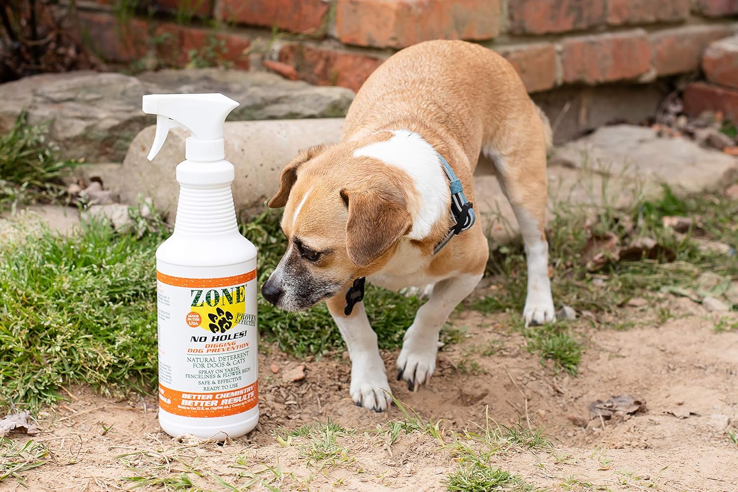 Spray To Stop Dogs From Digging Quotes Trending