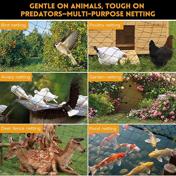 HEAVY DUTY AVIARY NETTING 25X50 FT, 1″ MESH REINFORCED HDPE POULTRY NETTING, ANTI-TANGLE BIRD NETTING FOR CHICKEN COOP, HAWK DETERRENT FOR CHICKENS, GARDEN & CROP PROTECTION