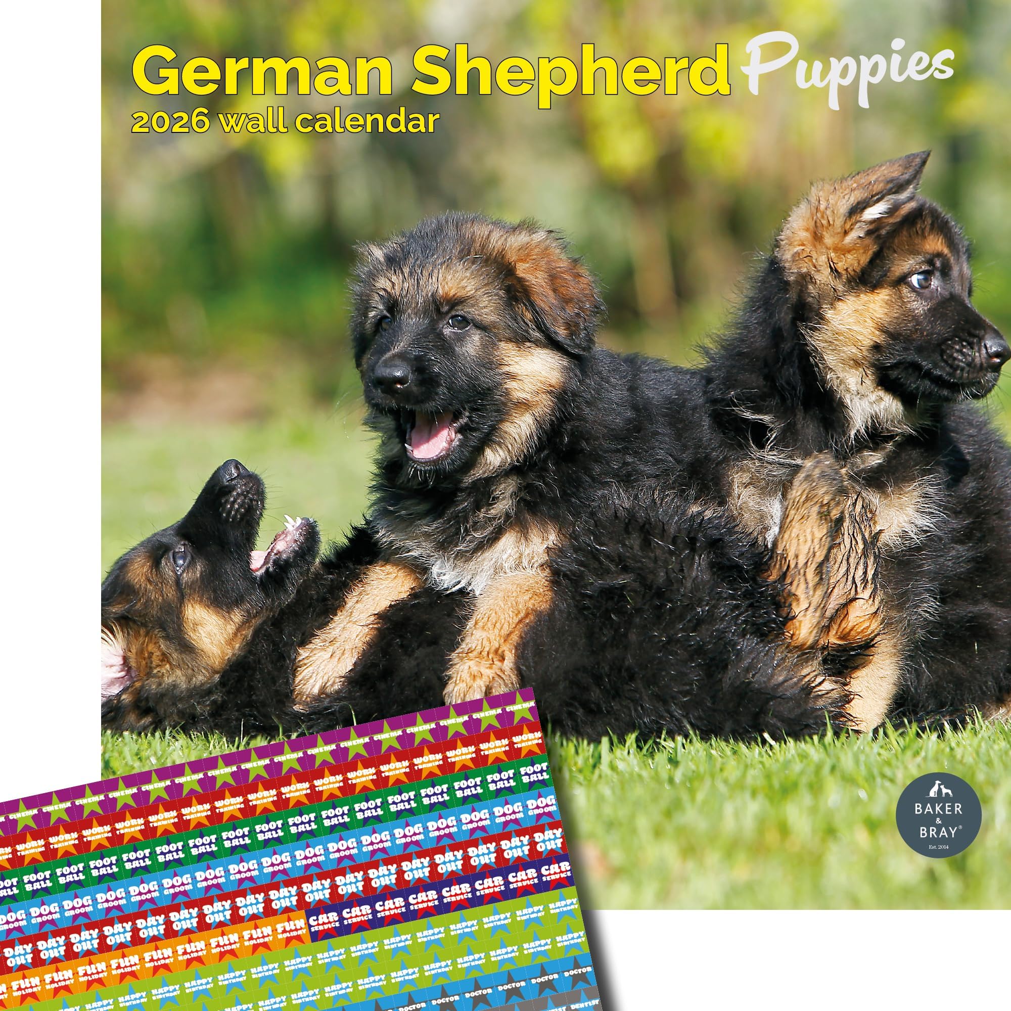 Baker and Bray German Shepherd Puppies Calendar 2026, Large Square Wall Calendar With Organisational Stickers, 16 Month, German Shepherd Puppies Gift Dog Calendar