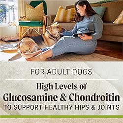 Merrick Healthy Grains Premium Adult Dry Dog