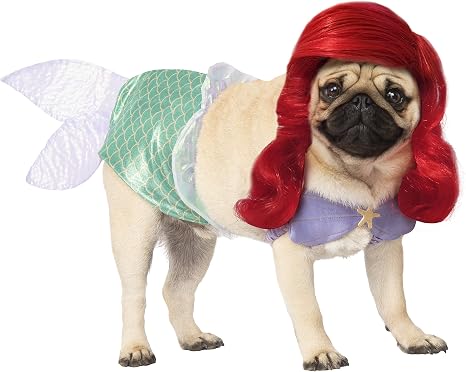 Disfraces para perros