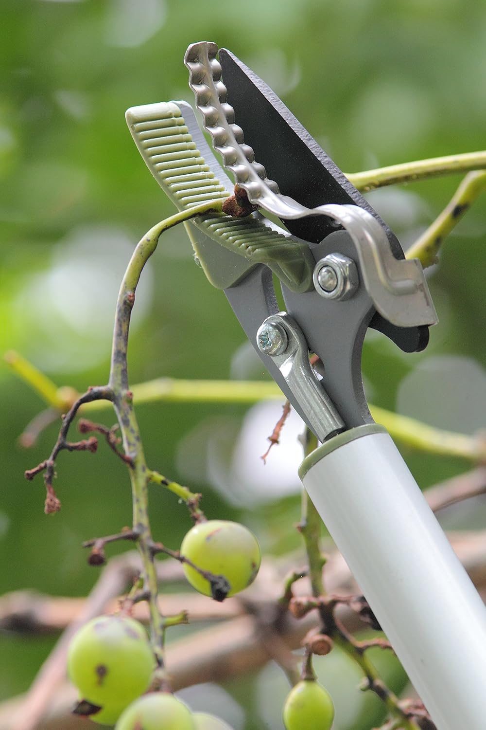 Worth Garden Long Reach Pruner，Long Arm Trimmer，Long Handled Pruning