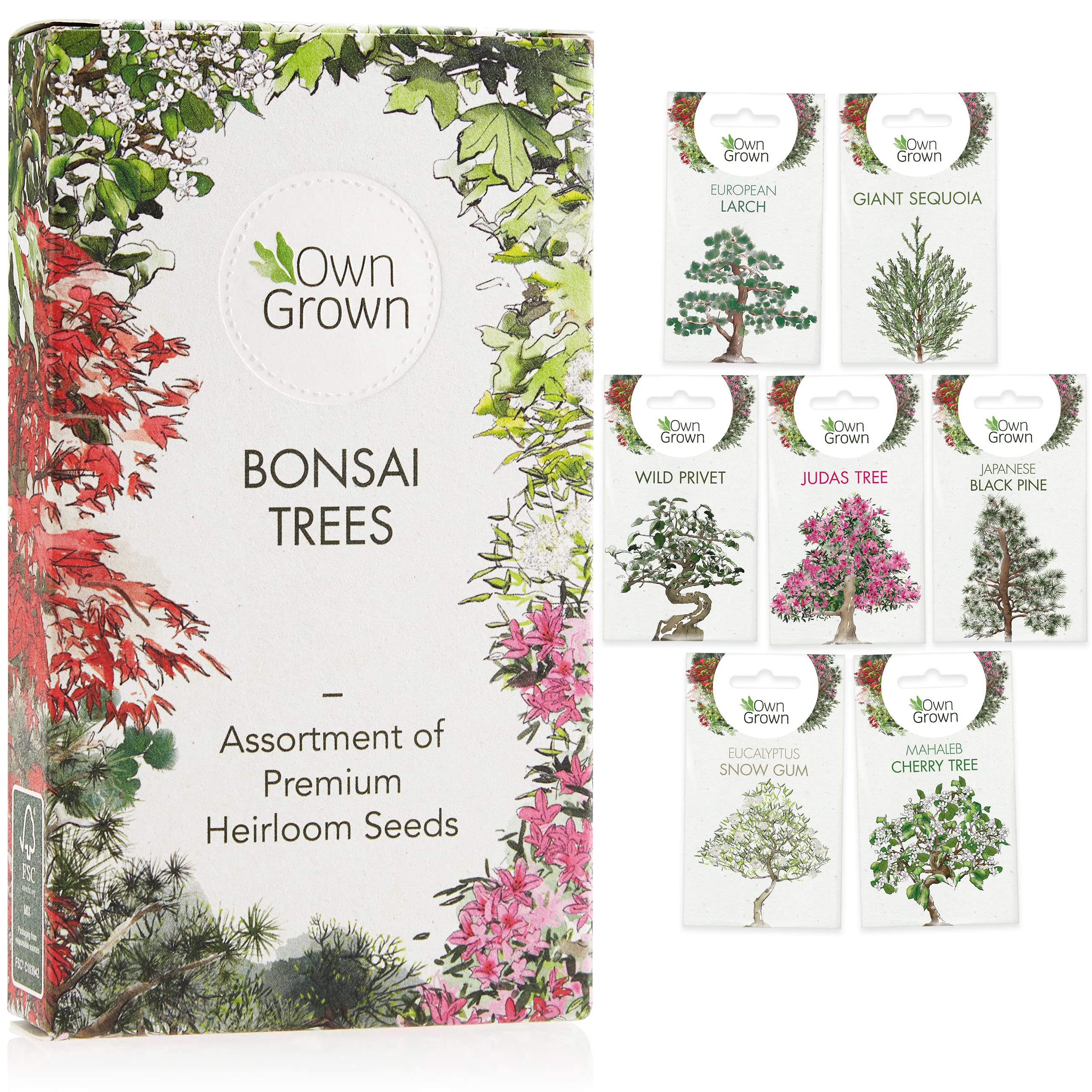 Grow Your Own Bonsai Trees: Premium Bonsai Seeds Set with 7 Beautiful Varieties – Cherry Tree, Black Pine, Giant Sequioa, Eucalyptus – Bonsai Tree Kit with Bonsai Tree Seeds Indoor Plants by OwnGrown