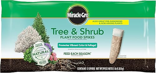 hstcstbl-table__image