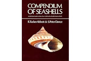 Compendium of Seashells: A Full-Color Guide to More than 4,200 of the World's Marine Shells