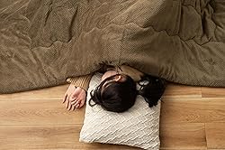 パレットライフ PaletteLife Kotatsu