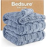 Bedsure GentleSoft Blankets Queen Size for Bed - Super Soft Cozy Blanket for Women Men Girls, Large Fuzzy Fleece Throw for Bedroom Decor, Ashley Blue, 90x90 Inches