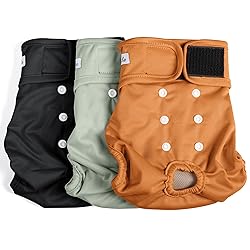 Female Dog Diapers - Premium Reusable Diapers for