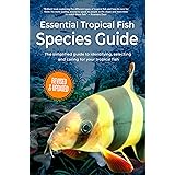 Essential Tropical Fish: Species Guide