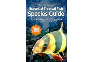 Essential Tropical Fish: Species Guide