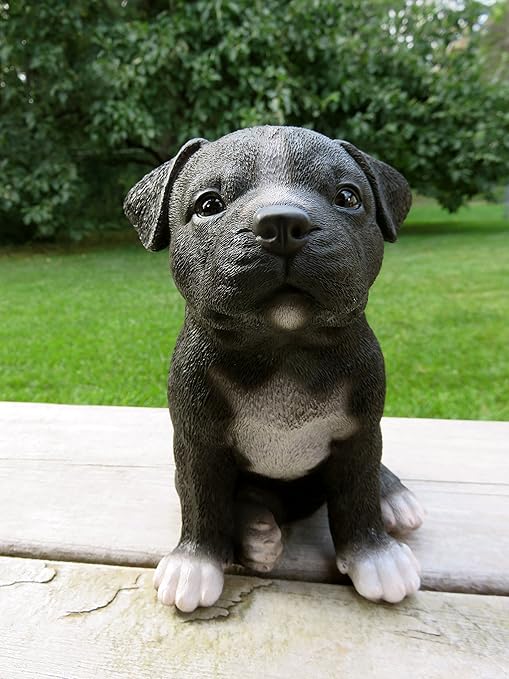 bull terrier brindle puppy