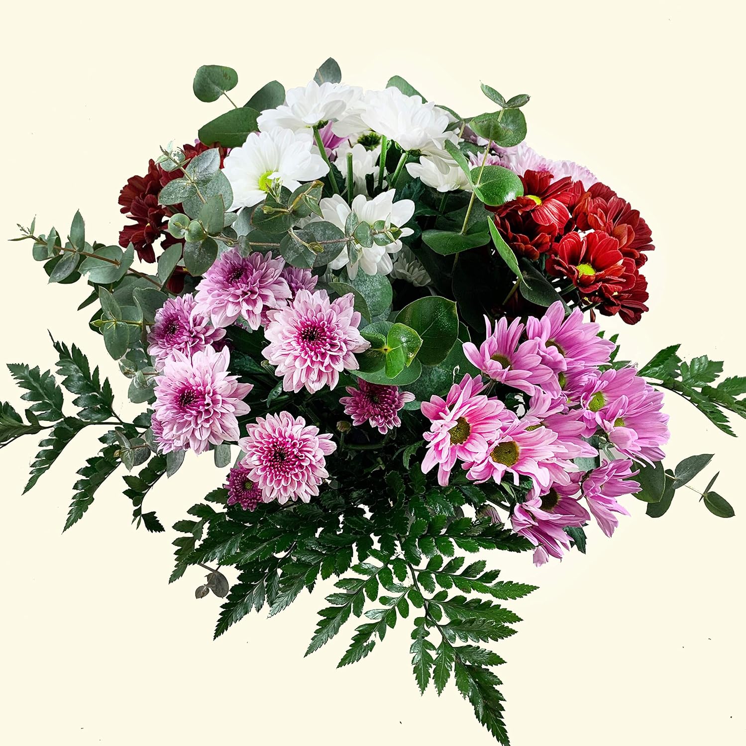 RAMO DE MARGARITAS VARIADAS NATURALES ENTREGA EN 24 HORAS FLORES FRESCAS Amazon.es Jardín