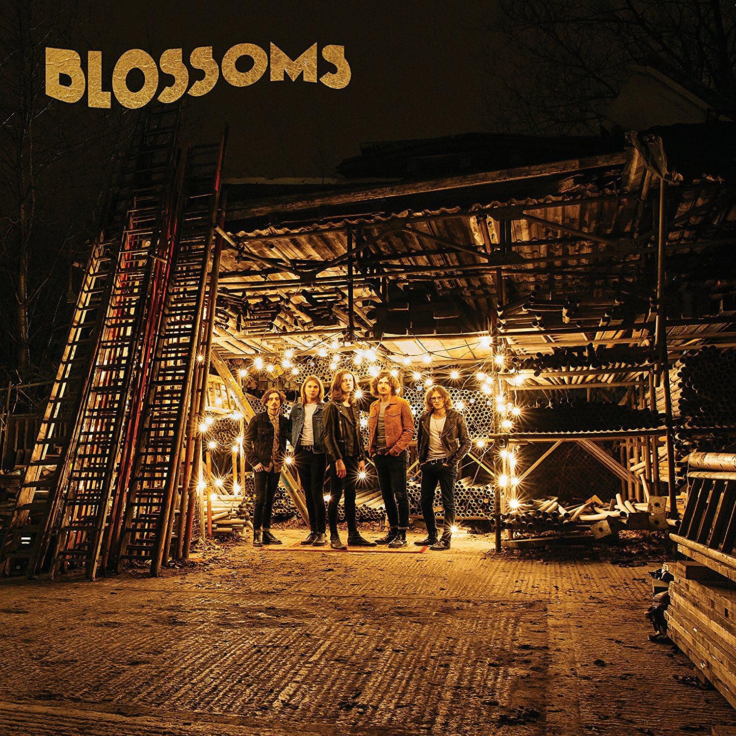 Blossoms [VINYL]