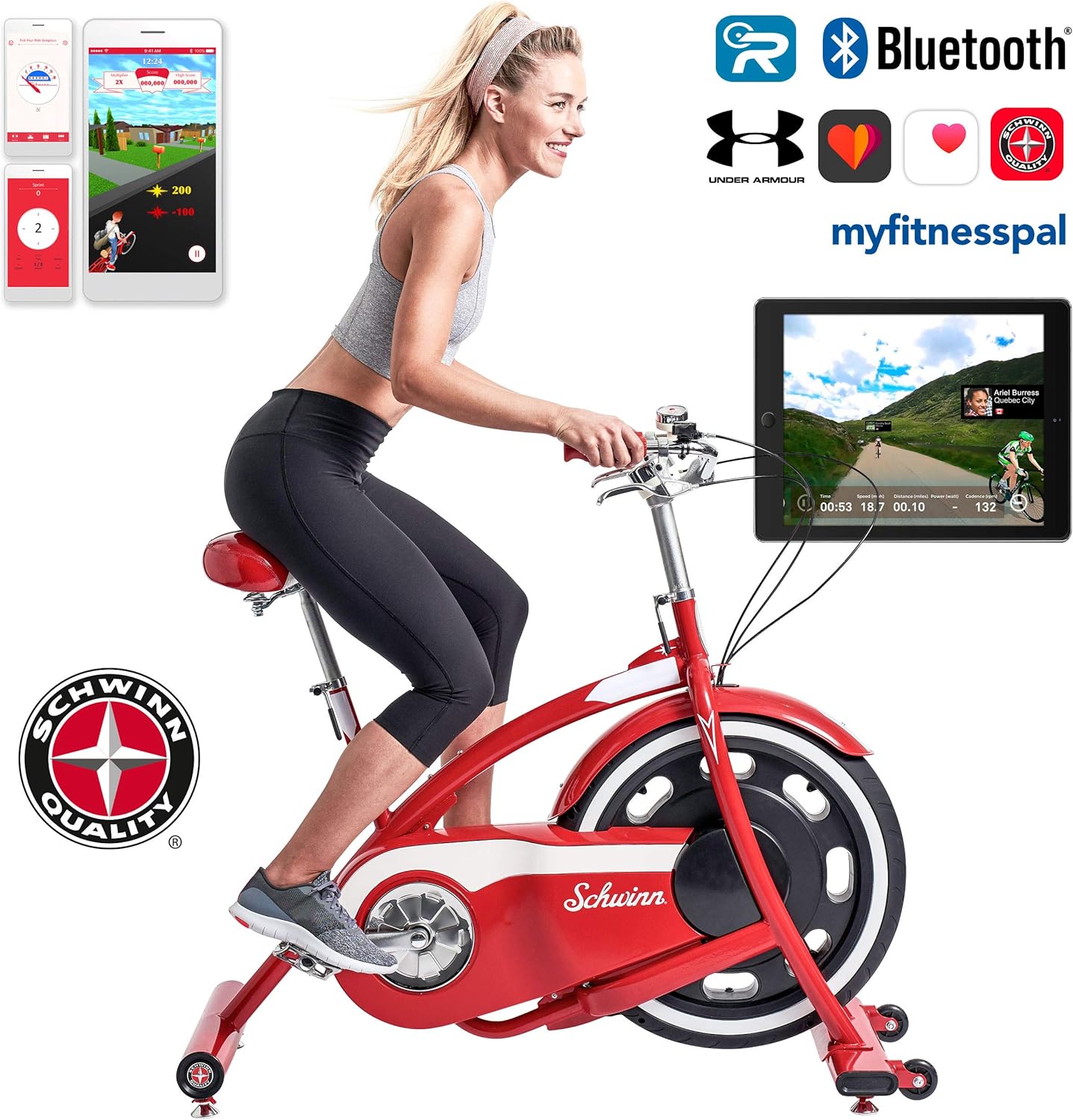 schwinn retro exercise bike