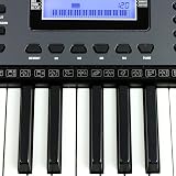 RockJam 61 Key Keyboard Piano with Pitch Bend Power Supply Sheet Stand Notes view 4