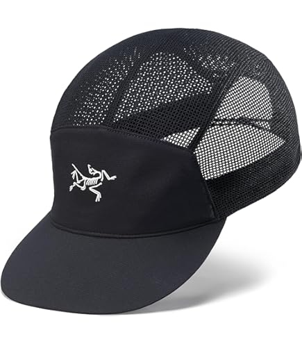 Amazon.com: Arc'teryx Unisex Bird Head Toque Eden/Black One Size