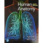 Human Anatomy