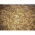 1000ct Live Mealworms, Reptile, Birds, Chickens, Fish Food (Medium)