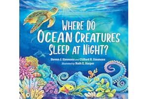 Where Do Ocean Creatures Sleep at Night?