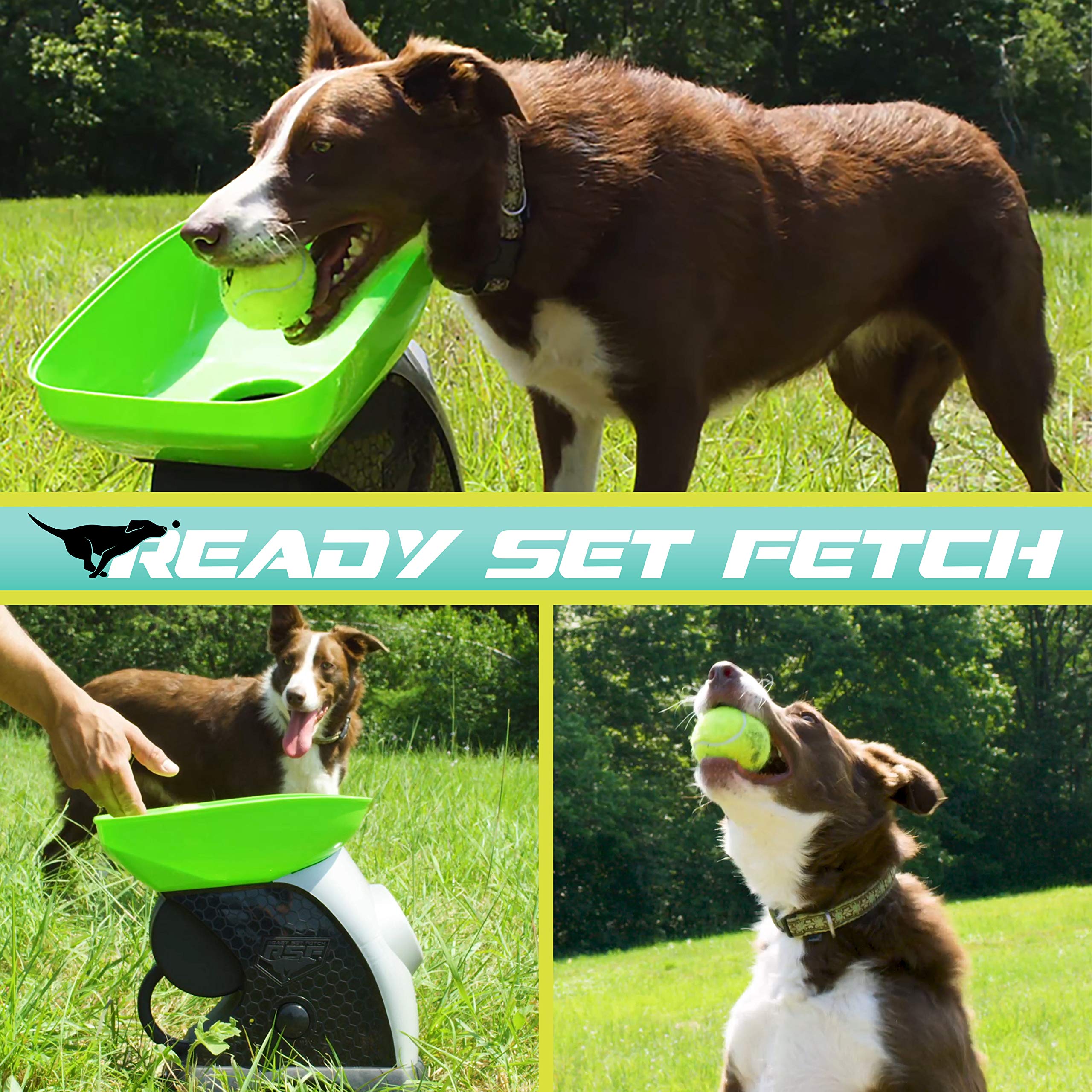 Franklin Pet Supply Ready Set Fetch Automatic Tennis Ball Launcher