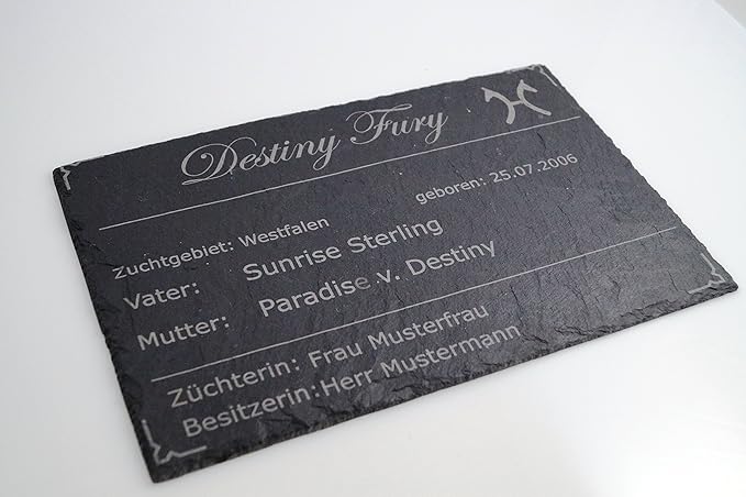 CHRISCK design Boxenschild Stallschild Pferdeschild aus Schiefer mit Fotogravur für Ihr Pferd