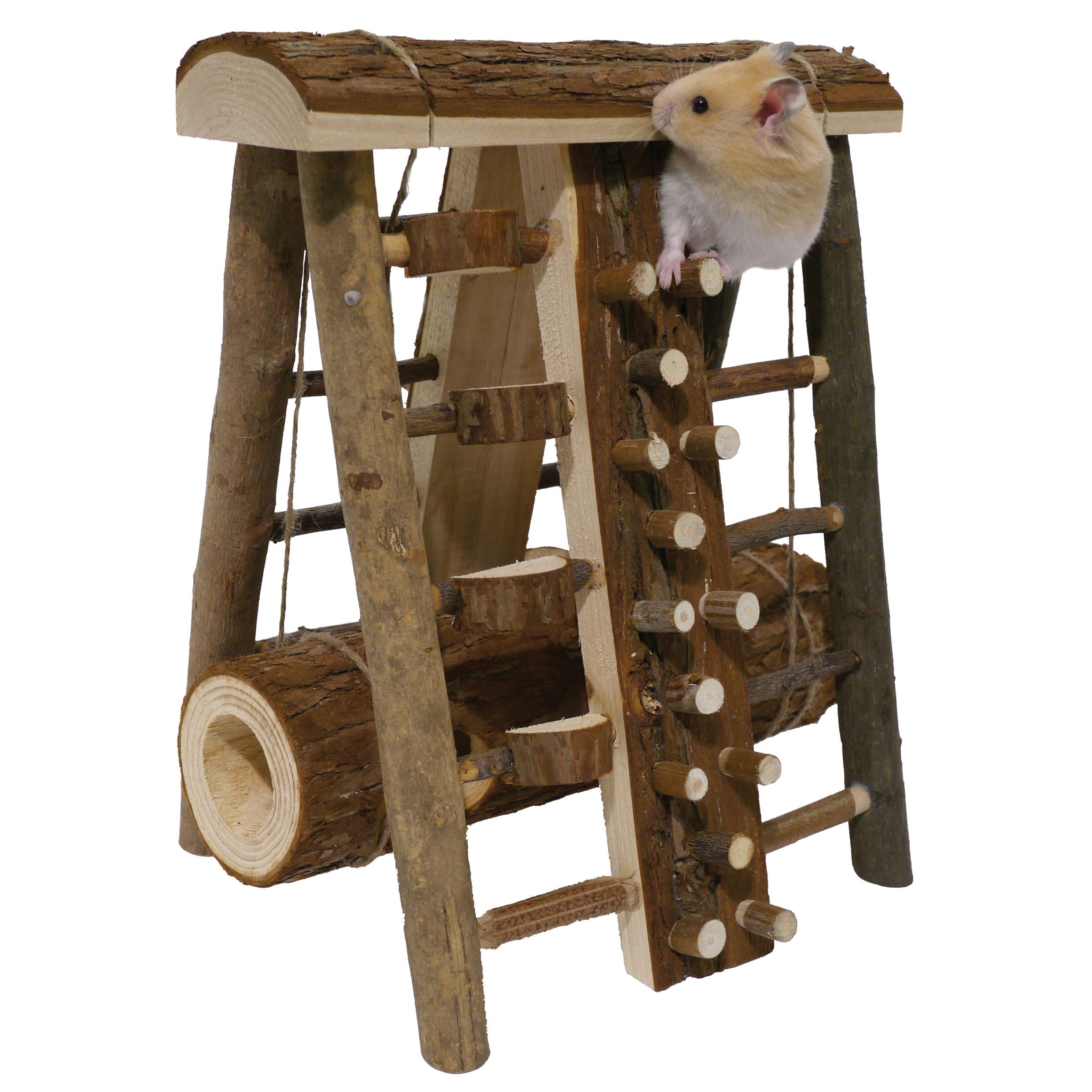 Activity Assault Course Hamster & Small Animal Toy Buy Online in