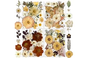 148PCS Dried Pressed Flowers for Resin Craft - YouthBro Real Nature Flowers Set with Butterfly Stickers for DIY Jewelry Nail 