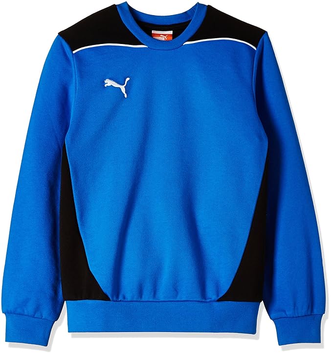 PUMA Kinder Sweatshirt Foundation Sweat