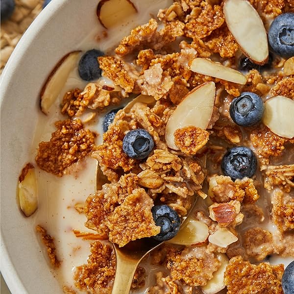 PURELY ELIZABETH, VANILLA BLUEBERRY ALMOND CEREAL, 11 OUNCE
