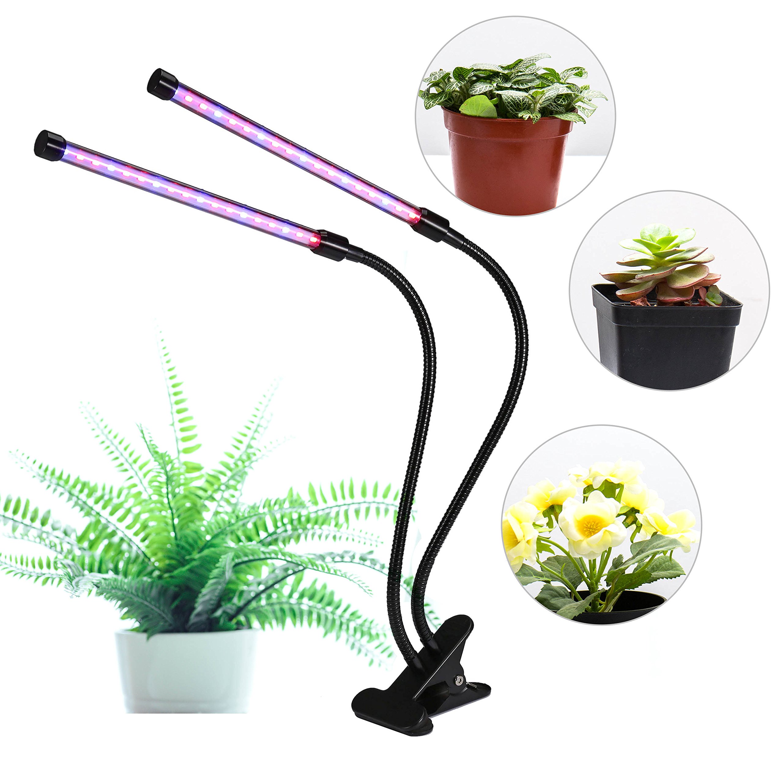 Led Grow Light Lamp for Indoor Plants Dual Head Greengarden Growing Lights Portable 18W Dimmable 360¡ã Flexible Gooseneck with Chip (18W-Black)