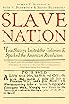 Slave Nation: How Slavery United the Colonies and Sparked the American Revolution