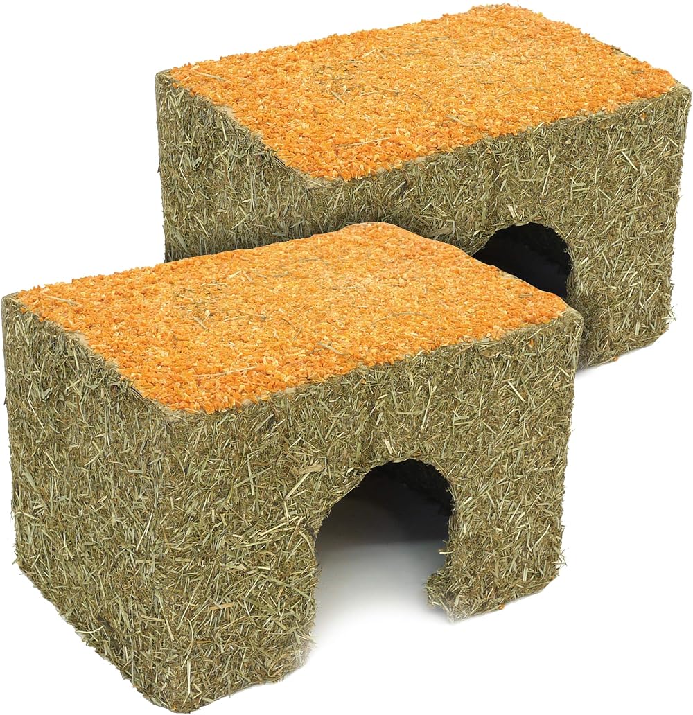Rosewood Rosewood Naturals Medium Carrot Cottage for Small Animals Pack of 2