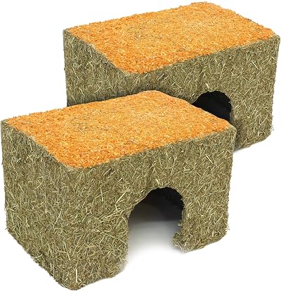 Rosewood Rosewood Naturals Medium Carrot Cottage for Small Animals Pack of 2