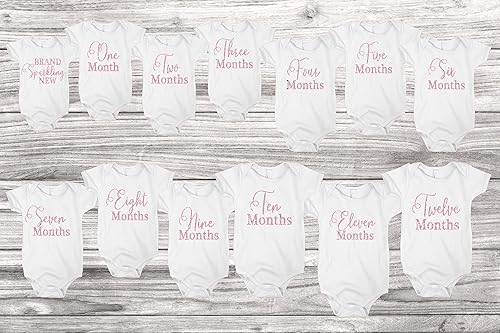 monthly onesies