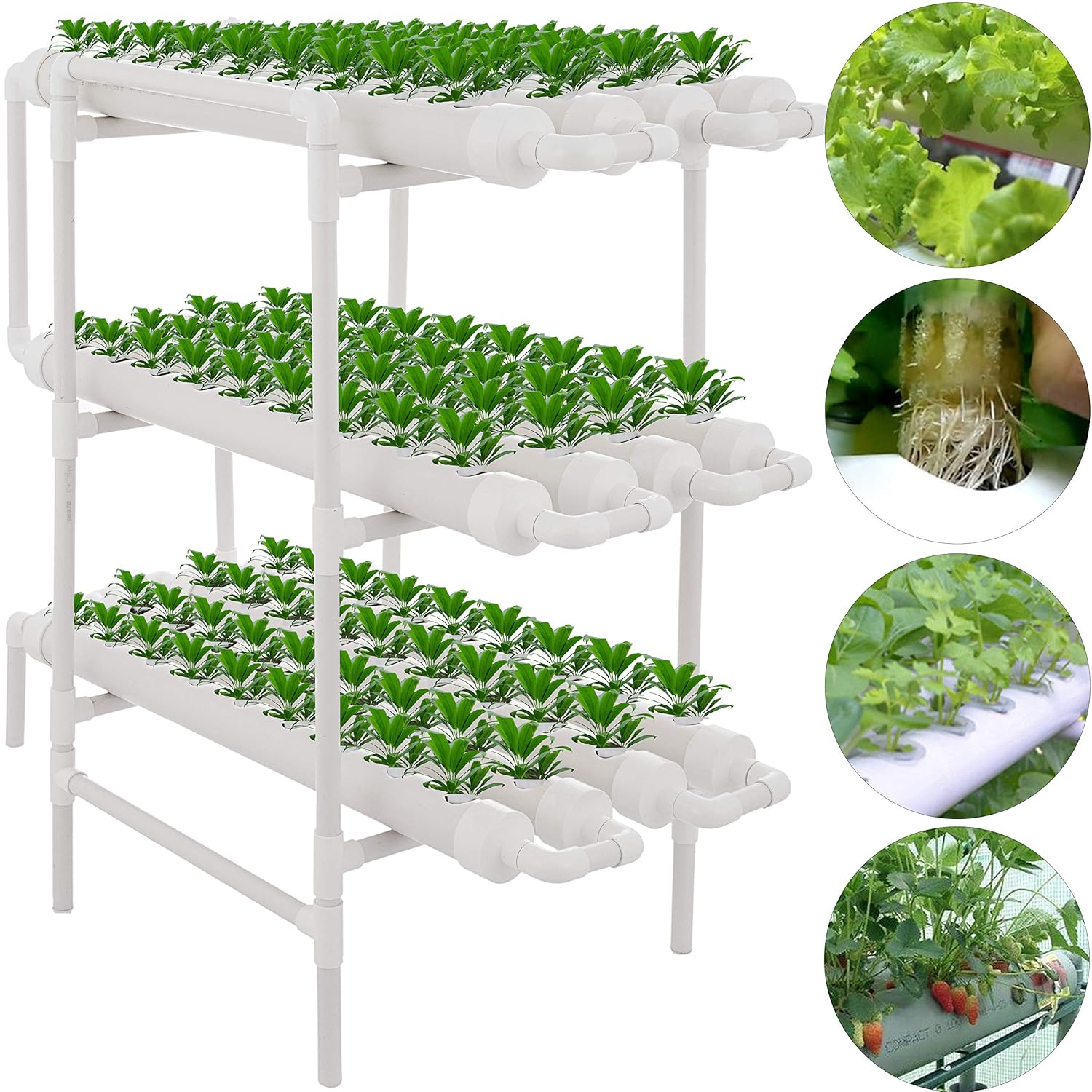 Best Aquaponics Indoor Garden System