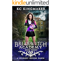 Briarwitch Academy 3: A Journey Before Dawn book cover