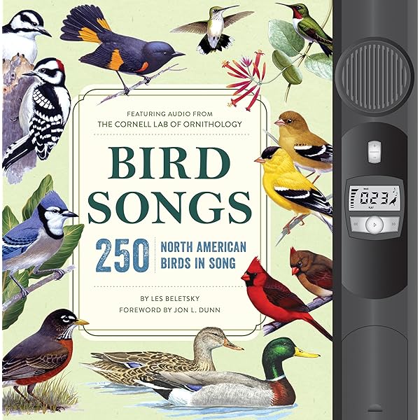 Birds of North America: Undated Weekly and Monthly Planner