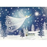 Peter Pauper Press Grußkarten-Set 'Horses In Winter', 20 Karten + 21 Umschläge – Mit Goldfolie