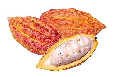 nubeleaf Mango Juice polvo, 1: Amazon.com: Grocery & Gourmet ...