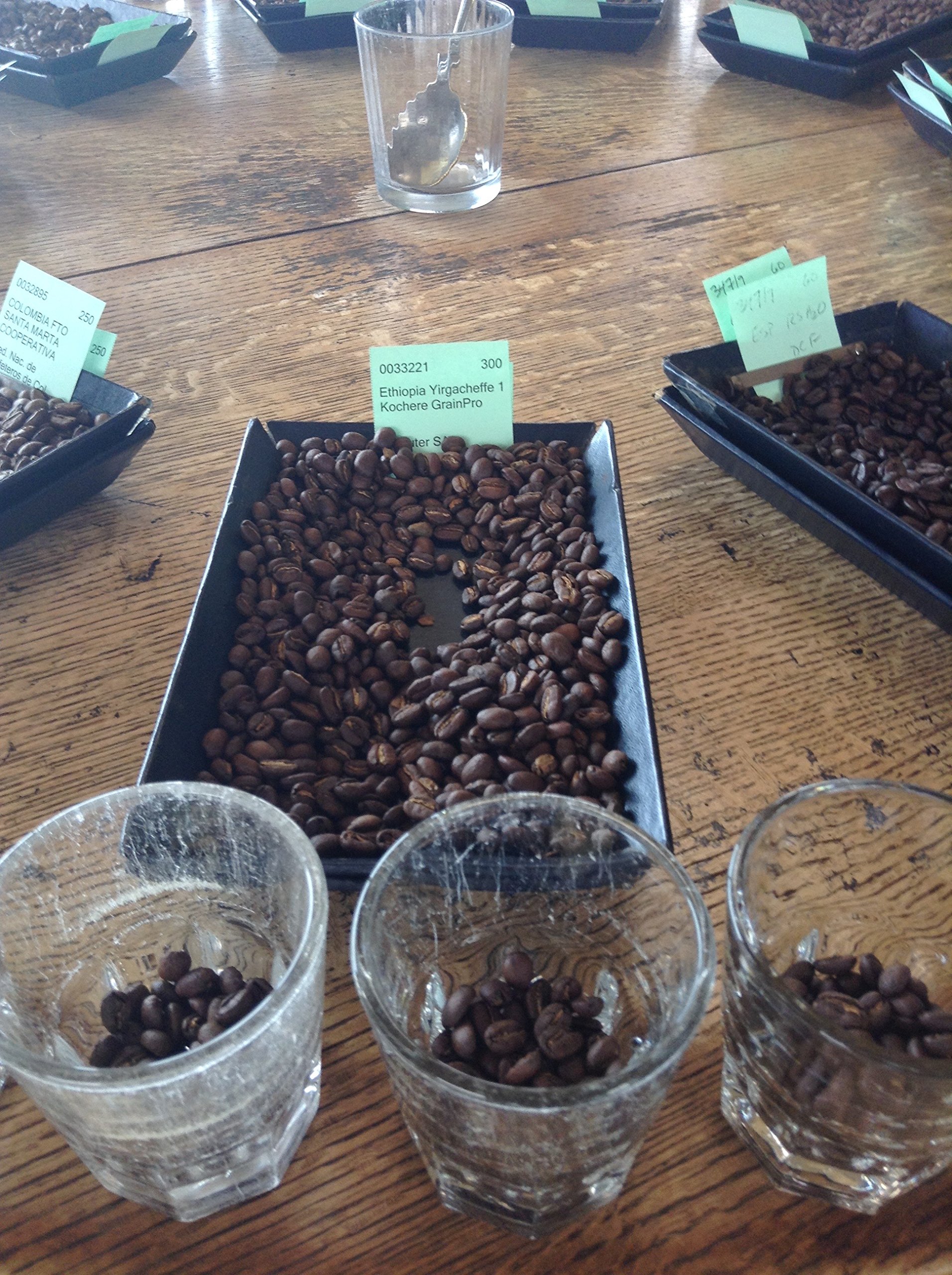 Ethiopian Yirgacheffe Green Unroasted Coffee Beans 1 Pound Buy Online