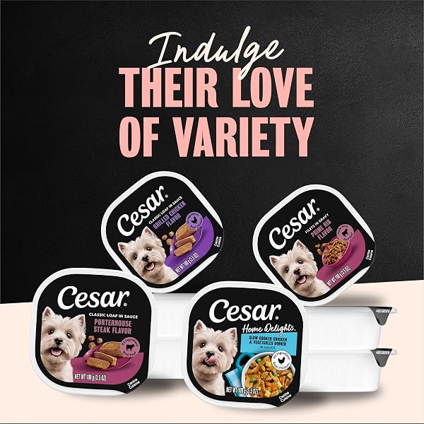 CESAR HOME DELIGHTS ADULT WET DOG FOOD, SLOW COOKED CHICKEN & VEGETABLES DINNER IN SAUCE 3.5 OZ. EASY PEEL DOG FOOD TRAY
