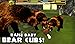 Wildlife Simulator: Bear
