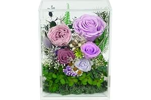 Valley of Rain & Forest Long-Lasting Real Flowers, Handcrafted Preserved Rose Bush For you to Send Love for All Occasions, Floral Arrangement for Indoor Decoration (Purple Rose)