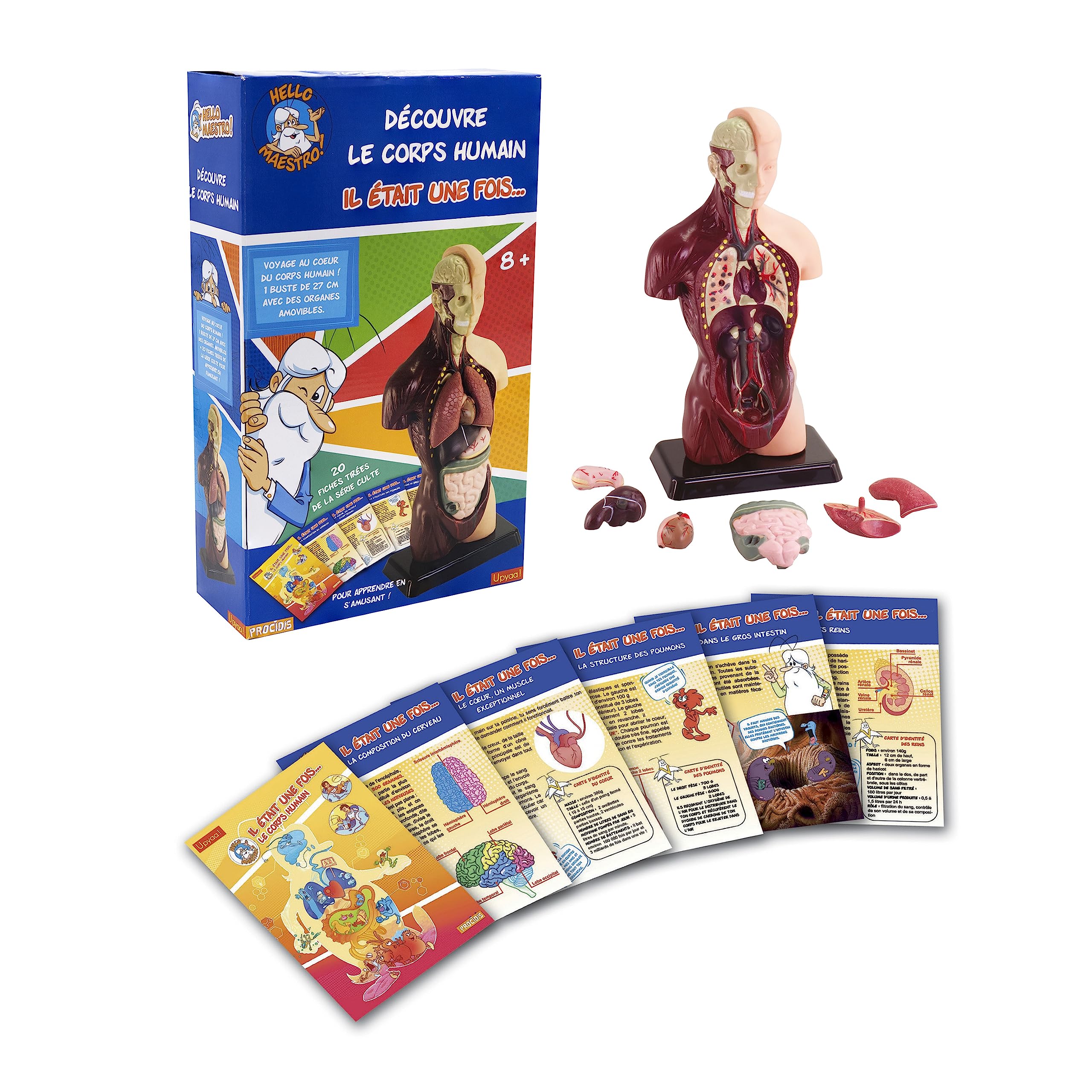 Upyaa Discover the Human Body with Hello Maestro-It was once a Life 430357, Blue