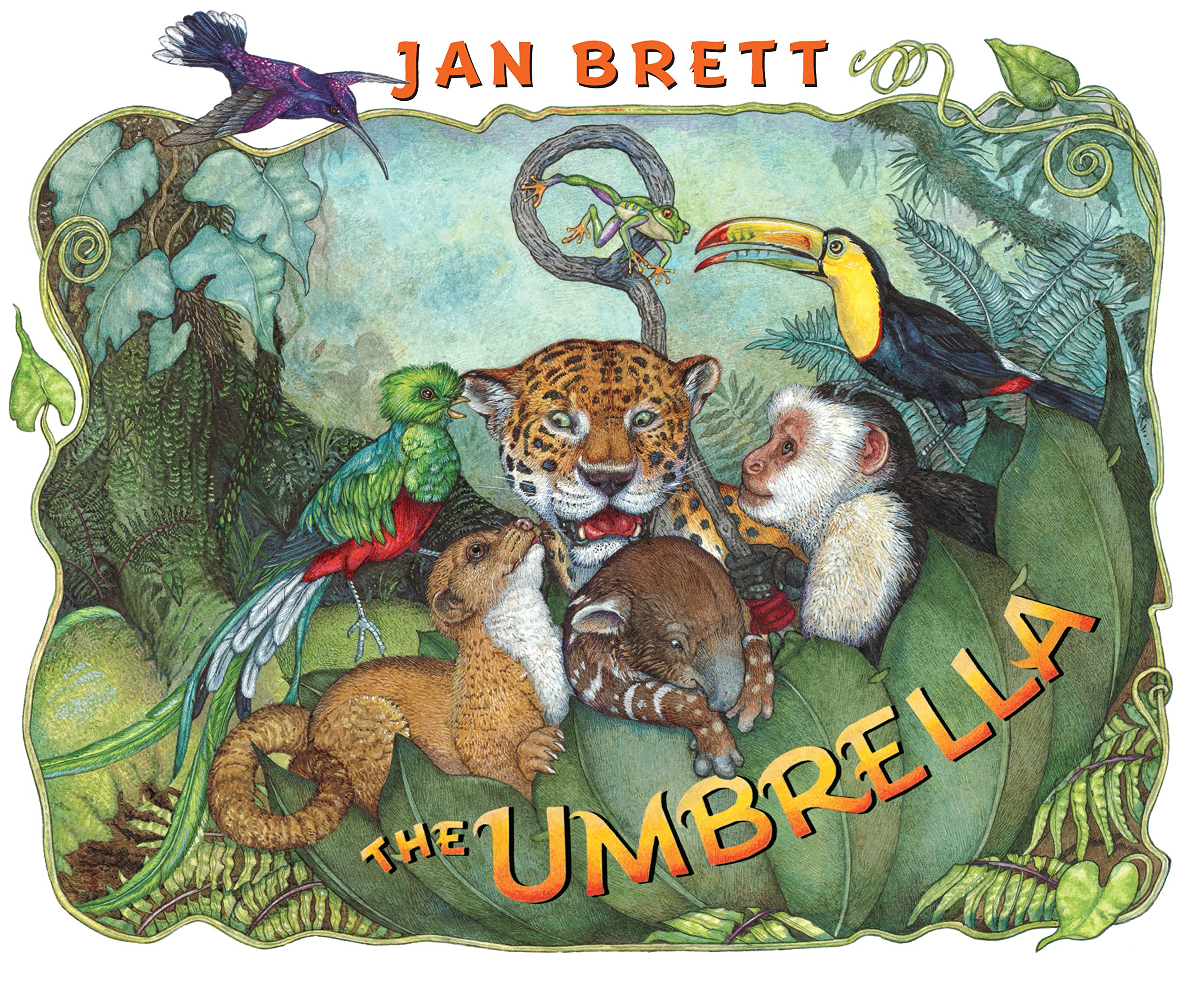 48 Fantastic Rainforest Books for Kids Teaching Expertise