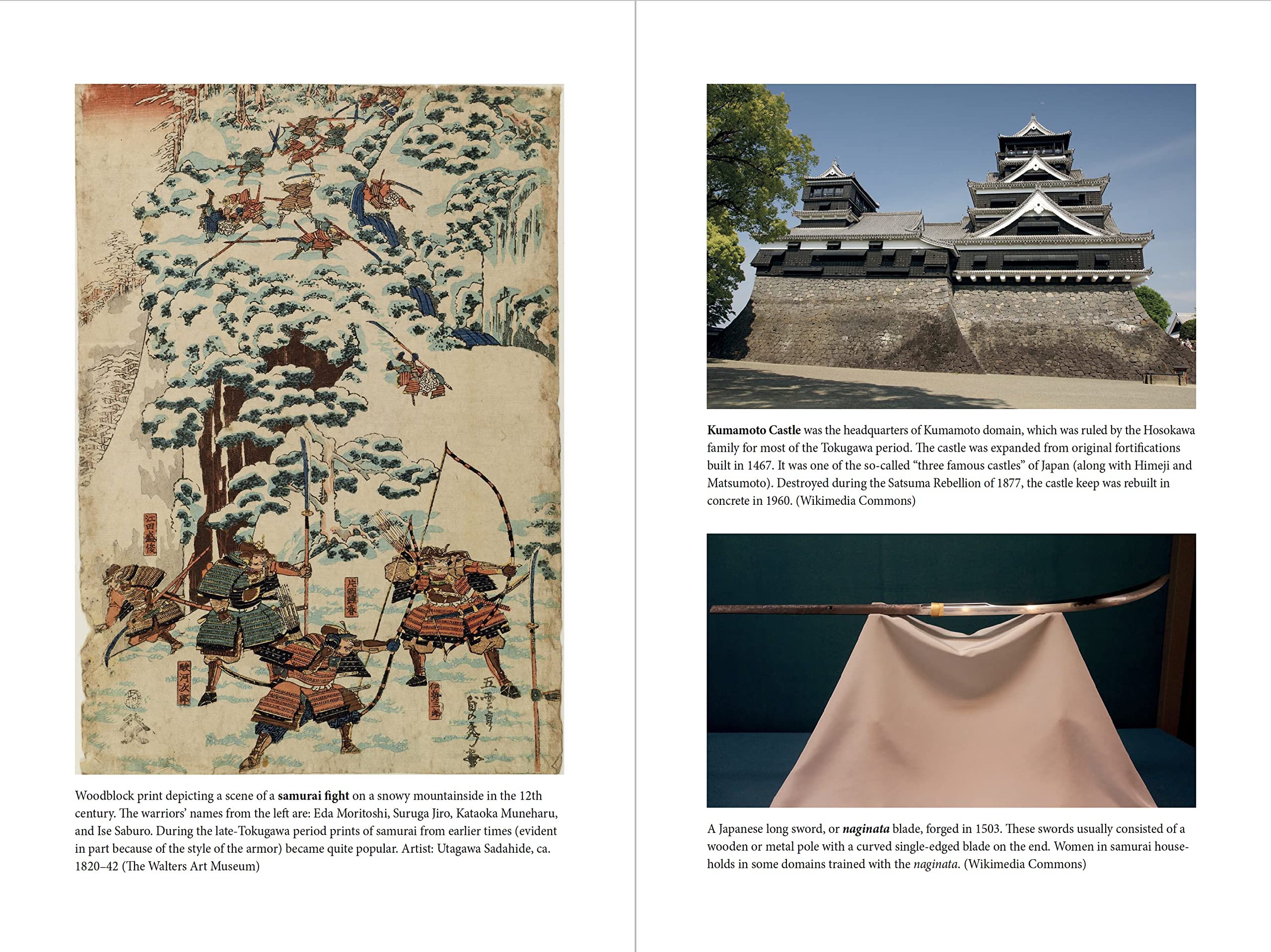 The Samurai Encyclopedia: A Comprehensive Guide to Japan's Elite Warrior Class