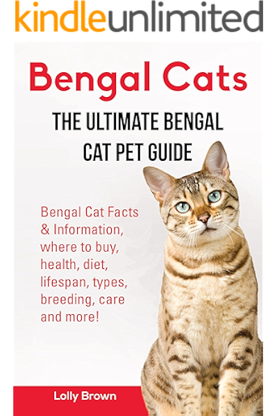 maximum cat lifespan