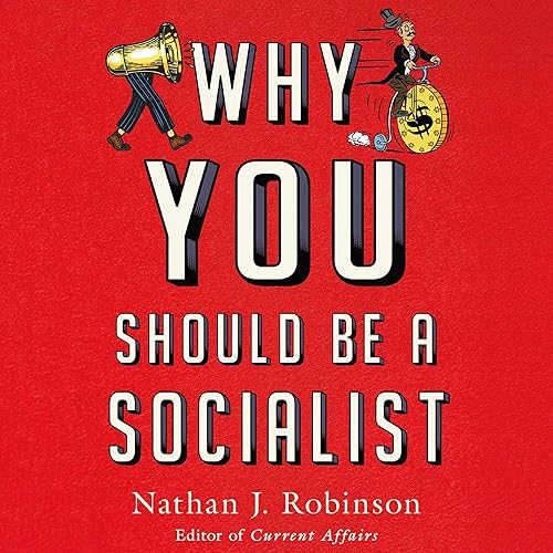Download Why You Should Be a Socialist PDF