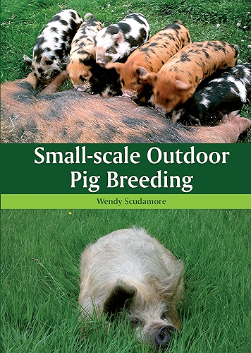 Download Small-scale Outdoor Pig Breeding (English Edition) PDF